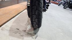 2020 HARLEY-DAVIDSON 2020 Harley-davidson 1700CC FXST SOFTAIL STANDARD