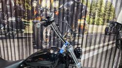 2020 HARLEY-DAVIDSON 2020 Harley-davidson 1700CC FXST SOFTAIL STANDARD