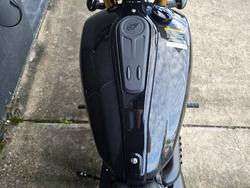 2026 Indian SCOUT 101 LIMITED BLACK