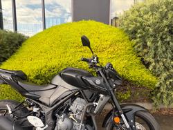 2025 Yamaha MT-03 (MT03LA) (ABS)