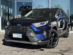 2021 Toyota RAV4 Cruiser