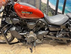 2024 Harley-Davidson Nightster (RH975) Sportster Red