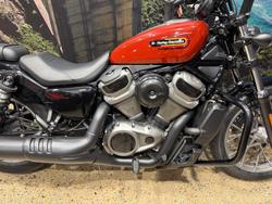 2024 Harley-Davidson Nightster (RH975) Sportster Red