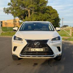 2019 Lexus NX 300 Luxury