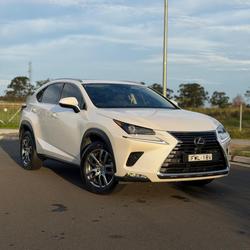 2019 Lexus NX 300 Luxury