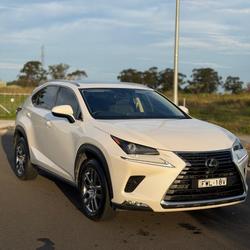 2019 Lexus NX 300 Luxury