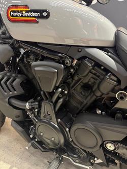 2025 Harley-Davidson Nightster (RH975) Sportster