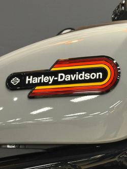 2025 Harley-Davidson Nightster (RH975) Sportster