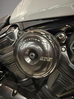 2025 Harley-Davidson Nightster (RH975) Sportster