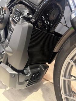 2025 Harley-Davidson Nightster (RH975) Sportster