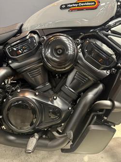 2025 Harley-Davidson Nightster (RH975) Sportster