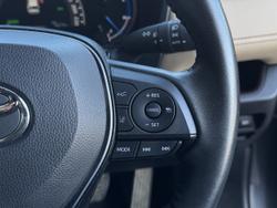 2022 Toyota RAV4 Cruiser
