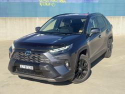 2022 Toyota RAV4 Cruiser