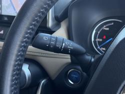 2022 Toyota RAV4 Cruiser
