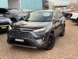 2022 Toyota RAV4 Cruiser
