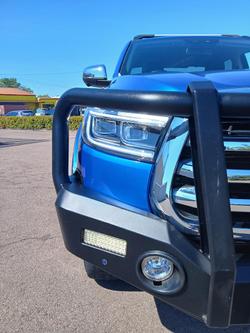 2021 GWM Ute Cannon-L