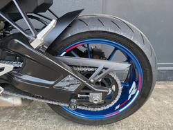 2018 BMW S 1000 R WHITE