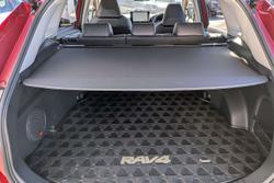 2024 Toyota RAV4 Cruiser