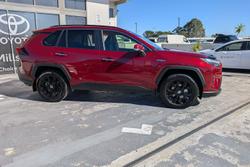 2024 Toyota RAV4 Cruiser