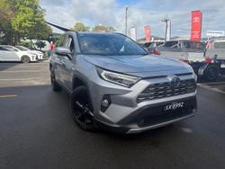 2020 Toyota RAV4 Cruiser