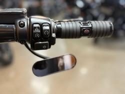 2021 HARLEY-DAVIDSON FXFBS FAT BOB (114)