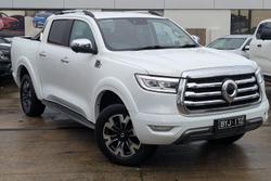 2023 GWM Ute Cannon-X