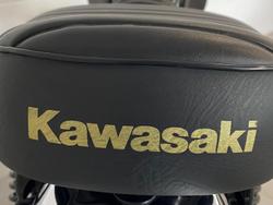 2011 Kawasaki W800 W Series Green