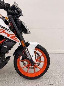 2018 Ktm 390 DUKE WHITE