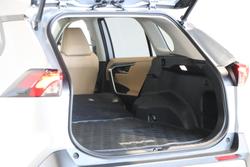 2021 Toyota RAV4 Cruiser