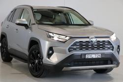 2021 Toyota RAV4 Cruiser