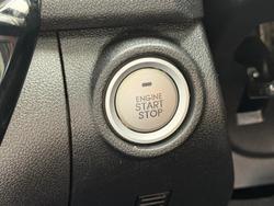 2021 GWM Ute Cannon-X