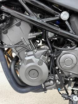 2024 Harley-davidson HD350-10 H-DX X350 Orange