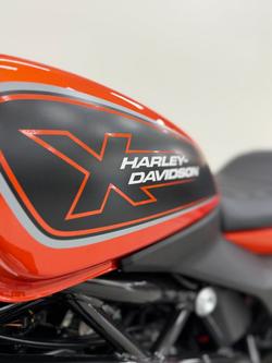 2024 Harley-davidson HD350-10 H-DX X350 Orange