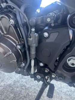 2024 Yamaha XSR900 (MTM850A) Blue