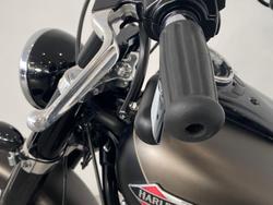2021 Harley-Davidson Slim 107 (FLSL) Softail Grey