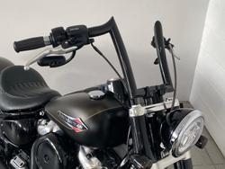 2021 Harley-Davidson Slim 107 (FLSL) Softail Grey
