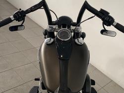 2021 Harley-Davidson Slim 107 (FLSL) Softail Grey