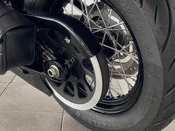 2021 Harley-Davidson Slim 107 (FLSL) Softail Grey