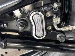 2021 Harley-Davidson Slim 107 (FLSL) Softail Grey
