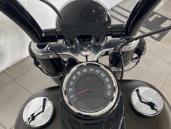 2021 Harley-Davidson Slim 107 (FLSL) Softail Grey