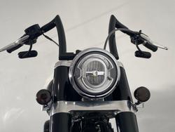 2021 Harley-Davidson Slim 107 (FLSL) Softail Grey