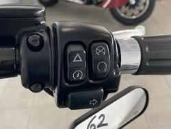 2021 Harley-Davidson Slim 107 (FLSL) Softail Grey
