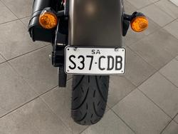 2021 Harley-Davidson Slim 107 (FLSL) Softail Grey