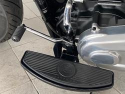 2021 Harley-Davidson Slim 107 (FLSL) Softail Grey