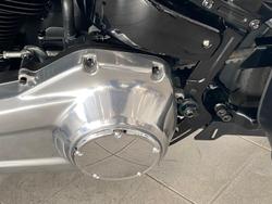 2021 Harley-Davidson Slim 107 (FLSL) Softail Grey