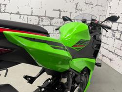 2024 Kawasaki Ninja 400 (EX400G) Ninja Green