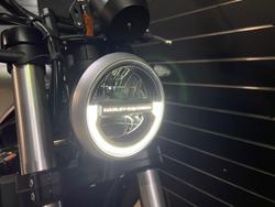 2024 HARLEY-DAVIDSON HD350-10 H-DX X350 Silver