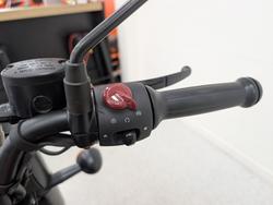 2022 Royal Enfield CLASSIC 350 DARK Black