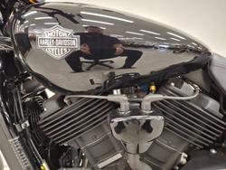 2019 Harley-davidson XG500 STREET 500 Black