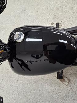 2019 Harley-davidson XG500 STREET 500 Black